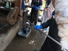 -姥家大锅台水库渔家