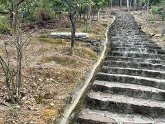 -风云岭森林公园