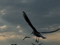 -捞渔河湿地公园