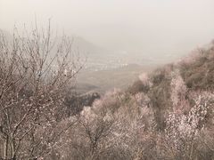 -定都峰