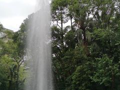 -九龙公园