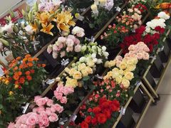 -永辉超市(嘉定大融城店)