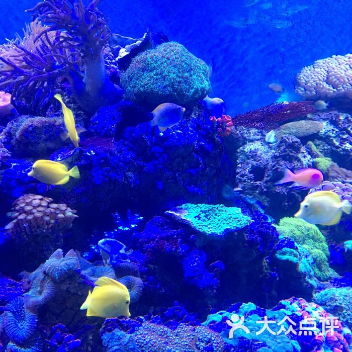 海滨城浩海立方海洋馆