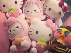 -PAWTOY爪e玩偶店(天兴罗斯福店)