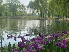 -石家庄市植物园