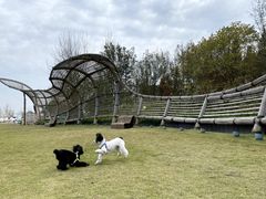 -中国天府农业博览园