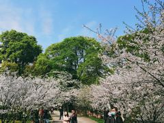 -南山植物园