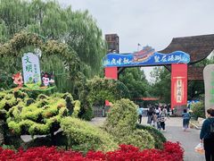 -溱湖国家湿地公园