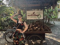 -大象粑粑造纸公园