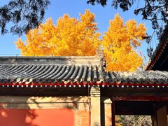 -承恩寺