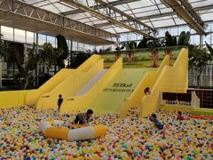 -南宫五洲植物乐园