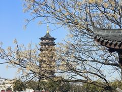 -葛仙湖公园
