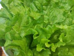 -大长金韩国料理