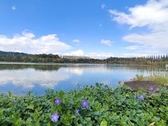 -洛龙公园