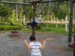 -合肥滨湖国家森林公园