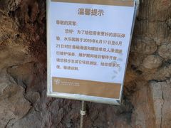 -三亚湾红树林度假世界(木棉酒店)
