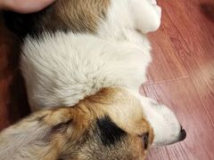 -维卡食舍(户部山店)