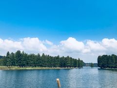 -四明湖