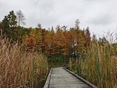 -长广溪湿地公园