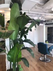 -美丽匯形象定制