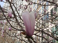 -1点点(银座和谐广场店)