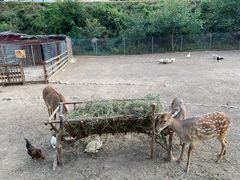 -北京山里寒舍度假酒店