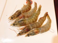 -火炉火自助餐(枫蓝国际店)