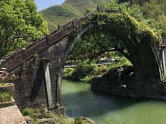 -鹿亭中村