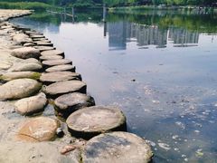 -滨湖塘西河公园