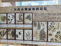 -霸王茶姬(南亚风情第壹城店)