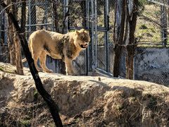 -石家庄市动物园