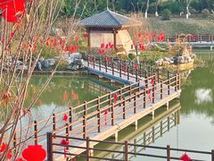 -广西壮族自治区药用植物园