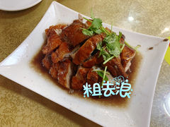 -龙记烤鸭店(新民路店)