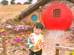 -武汉紫薇都市田园