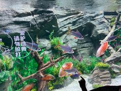 -广州海洋馆