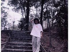 -风云岭森林公园