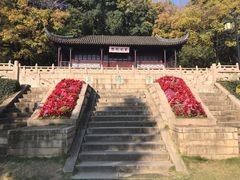 -苏州上方山国家森林公园