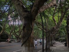 -也枫·小黄楼(南山路旗舰店)