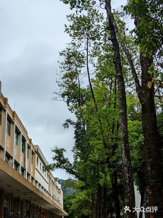 广东外语外贸大学(白云山校区)图片
