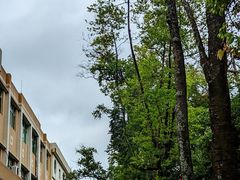 -广东外语外贸大学(白云山校区)