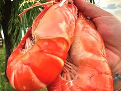 -品鲜村农家菜·阳澄湖大闸蟹(总店)