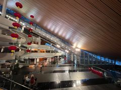 -合肥大剧院