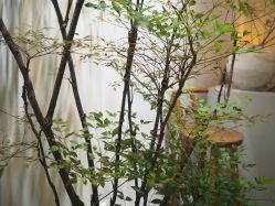 -Y+U遇瑜伽·普拉提