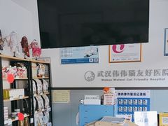 -伟伟宠物医院·瑞派猫友好医院·猫科(光谷店)