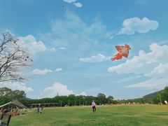 -大屏嶂森林公园