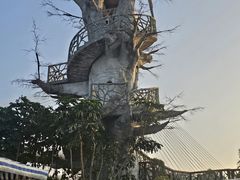 -芒洲湿地公园