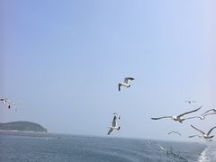 -广鹿岛