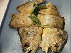 -馨越楼·点心·粤菜(赤坎店)