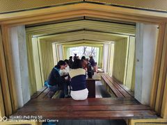 -成都市活水公园