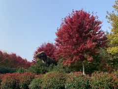 -南京枫彩漫城
